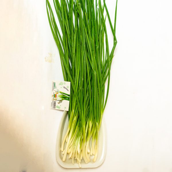 Spring Onion
