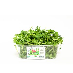 Arugula