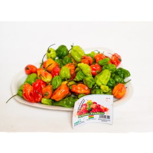 HABENERO PEPPER