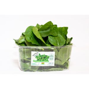 Spinach