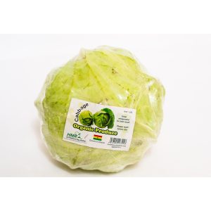 Cabbage