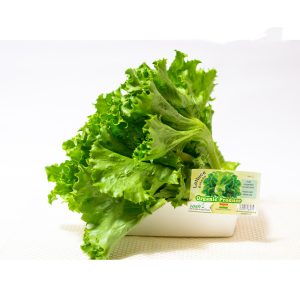 Lettuce