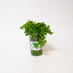 Parsley