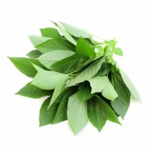 Jute Spinach