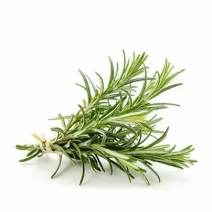 Rosemary