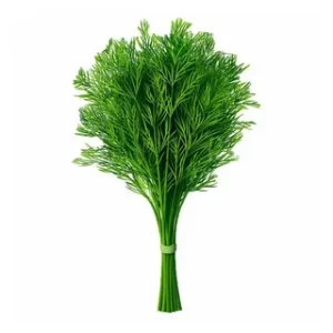 Dill