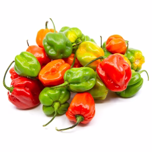 Habanero Pepper