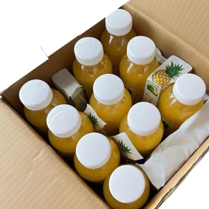 Wellness Booster (500ML) 24 PCS